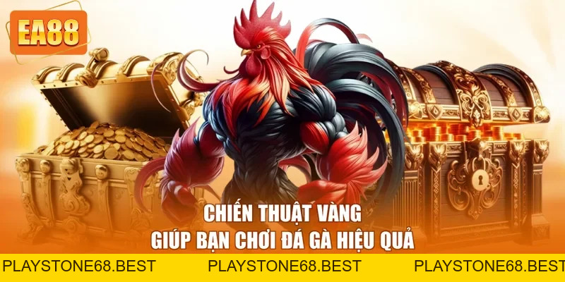 Đá Gà Trực Tiếp C1 EA88 - Sảnh Chơi Hấp Dẫn Năm 2026