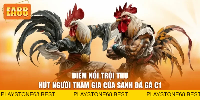 Đá Gà Trực Tiếp C1 EA88 - Sảnh Chơi Hấp Dẫn Năm 2026