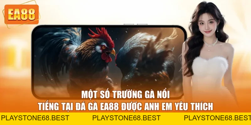 Đá Gà EA88 - Trải Nghiệm Cá Cược Online Hấp Dẫn 2026
