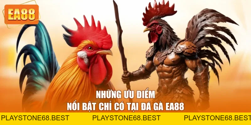 Đá Gà EA88 - Trải Nghiệm Cá Cược Online Hấp Dẫn 2026
